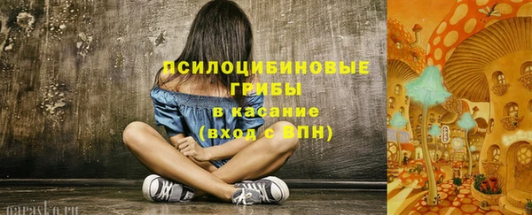 шишки Нягань