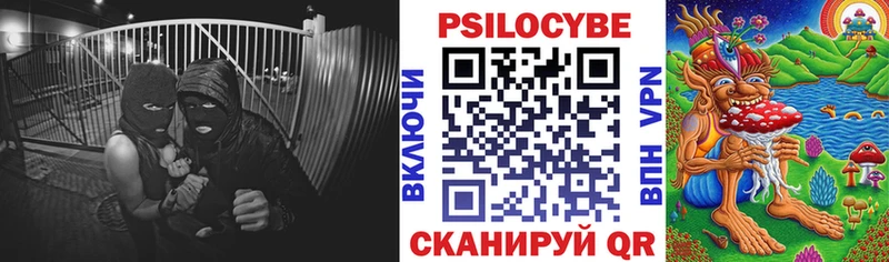 mega ТОР  Карабаш  Галлюциногенные грибы прущие грибы 